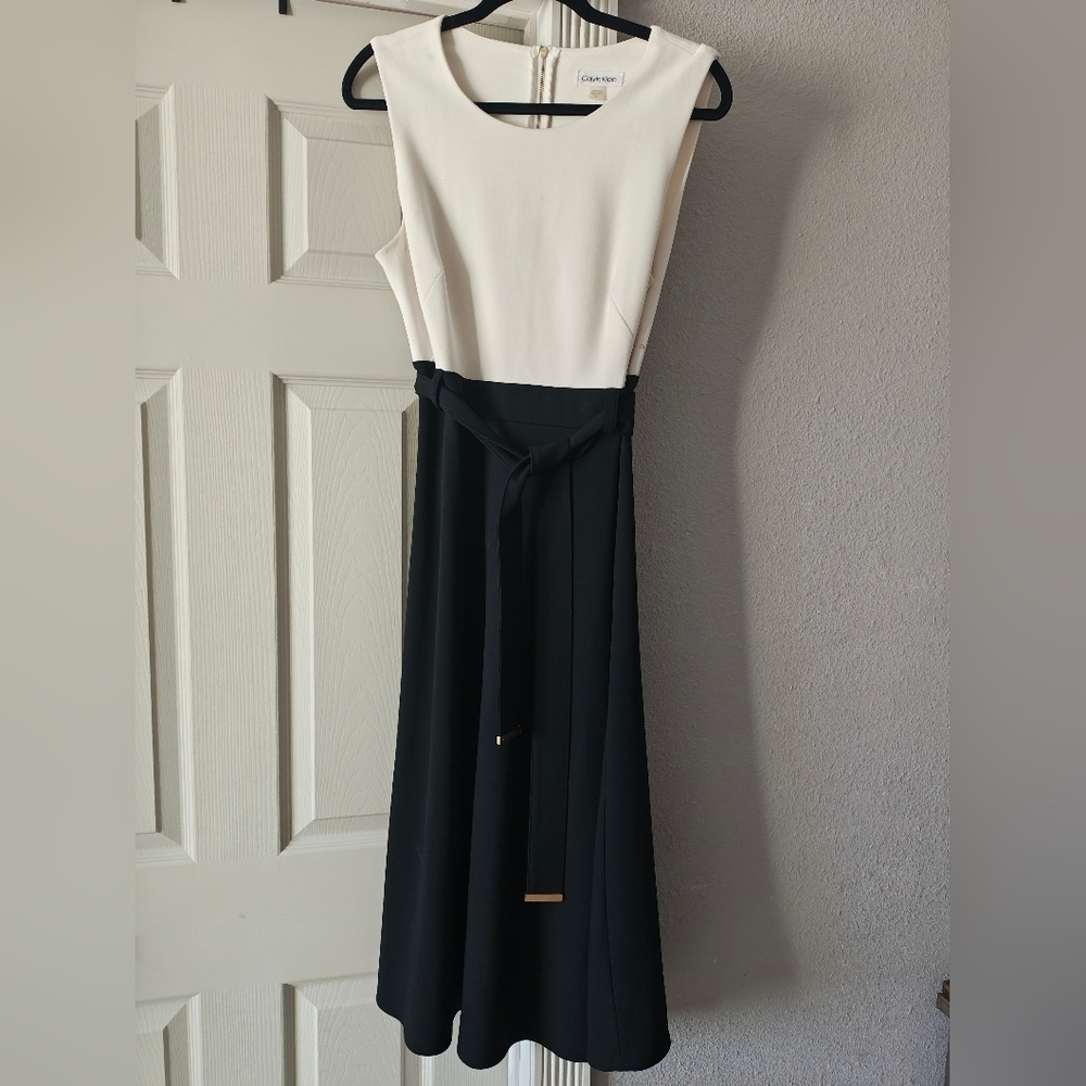 Calvin Klein Black and White Dress